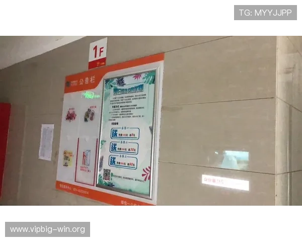 选择必赢平台代理，享受专业技术支持和全方位的客户服务体验